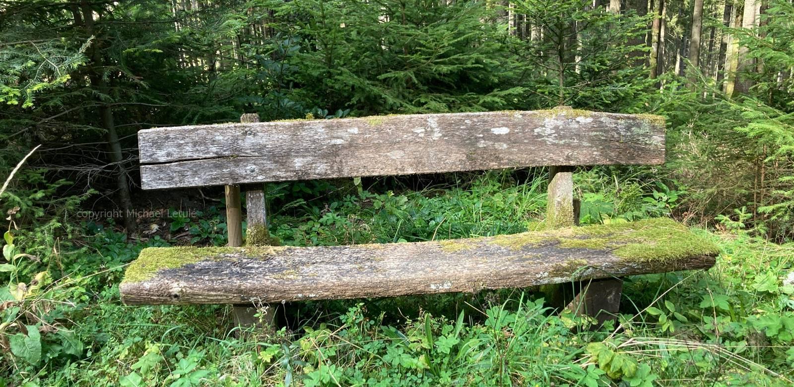 Webdesigner-VS Schwarzwald