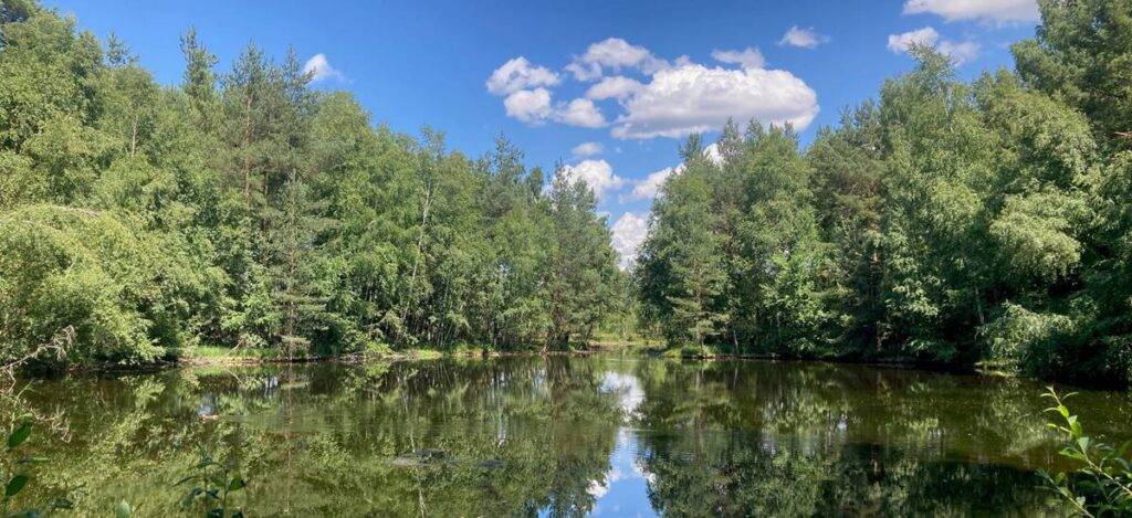 Schwenninger Moos, Bild: eigene Quelle